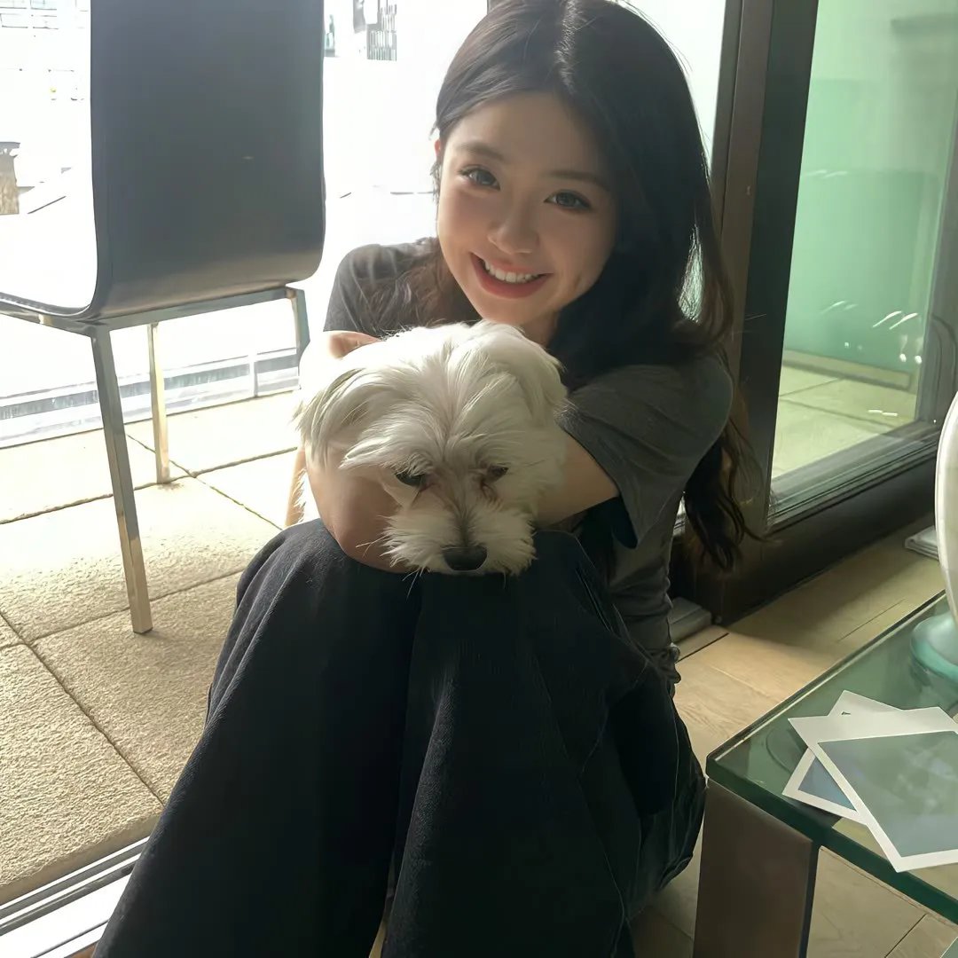 安恰丽